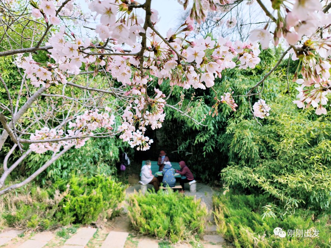 大连植物园景点介绍_大连植物园介绍_大连植物园