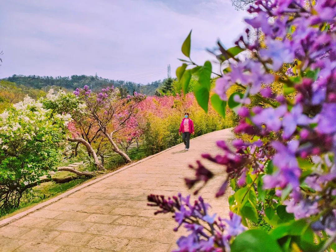 大连植物园介绍_大连植物园景点介绍_大连植物园