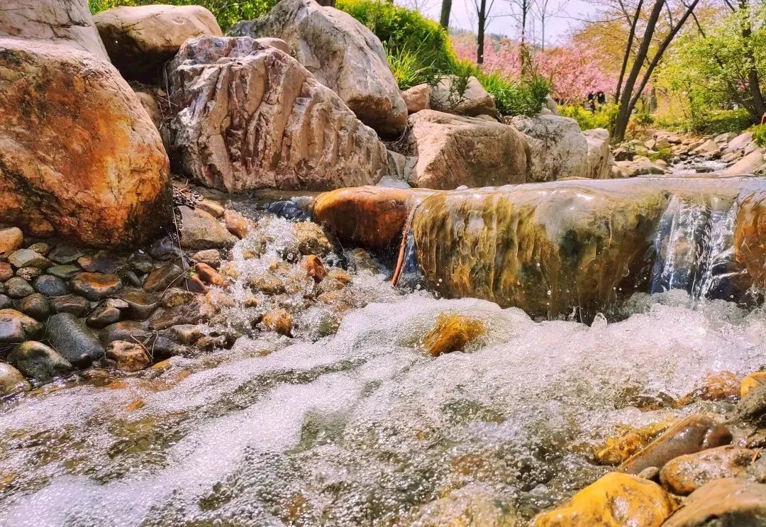 大连植物园景点介绍_大连植物园介绍_大连植物园