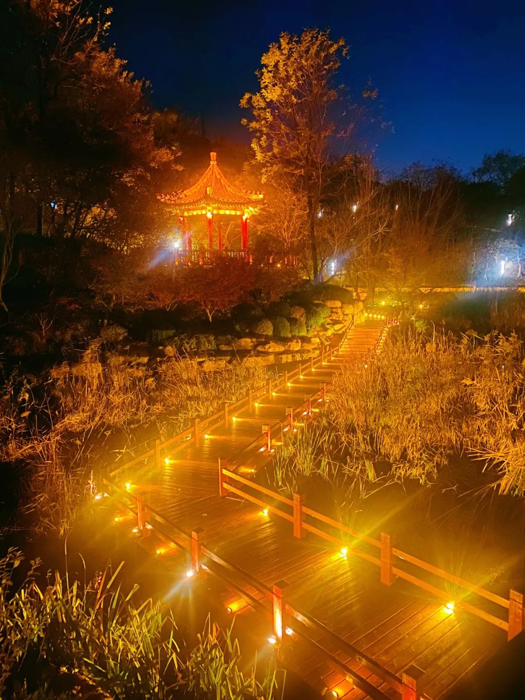 大连植物园_大连植物园介绍_大连植物园景点介绍