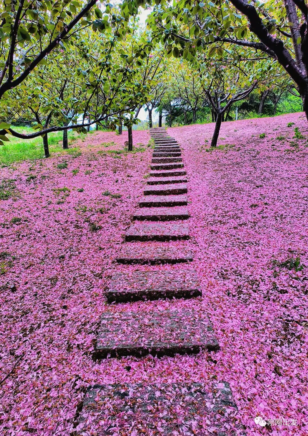 大连植物园景点介绍_大连植物园介绍_大连植物园
