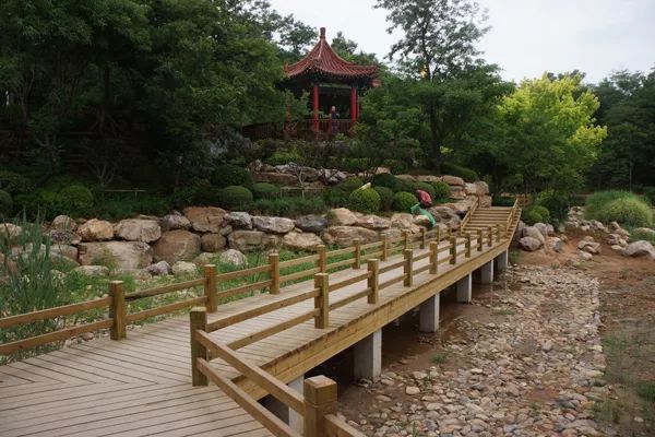 大连植物园_大连植物园景点介绍_大连植物园图片大全