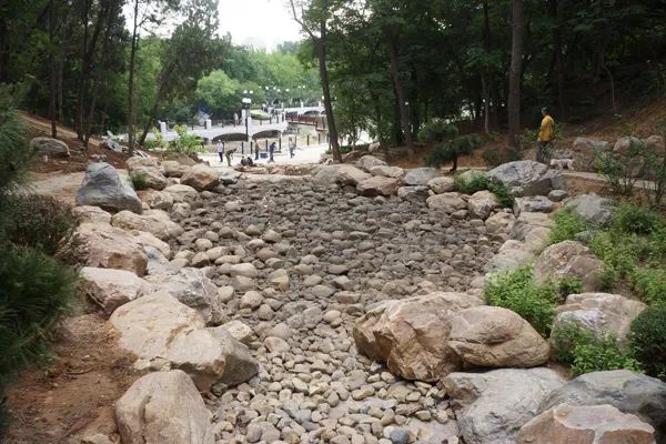 大连植物园图片大全_大连植物园景点介绍_大连植物园