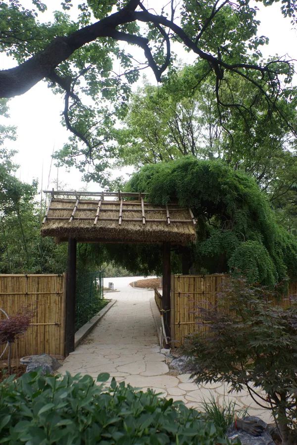 大连植物园图片大全_大连植物园景点介绍_大连植物园