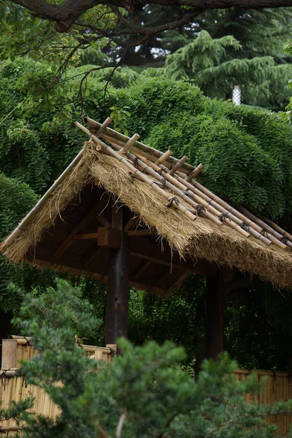 大连植物园景点介绍_大连植物园图片大全_大连植物园