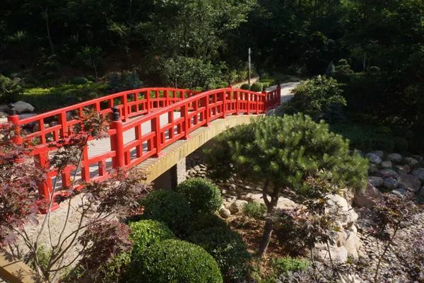 大连植物园景点介绍_大连植物园_大连植物园图片大全