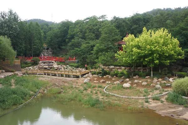 大连植物园图片大全_大连植物园_大连植物园景点介绍