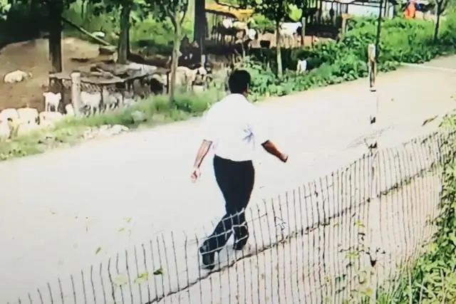 古_古暖暖江尘御全本免费阅读_古筝图片