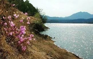 reservior_reservior翻译_reserviorhost