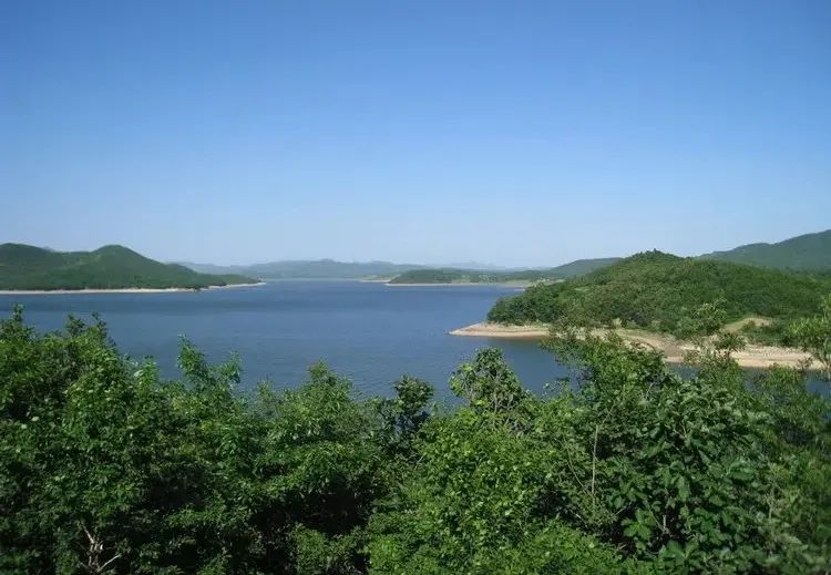 reservior翻译_reservior_reserviorhost