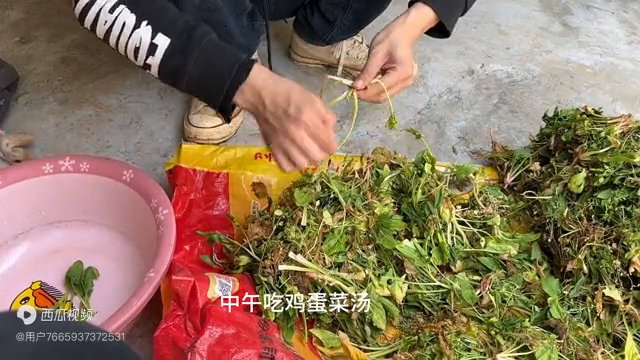 黑加上俊的右边是什么字_黑上加黑_黑加上音是什么字