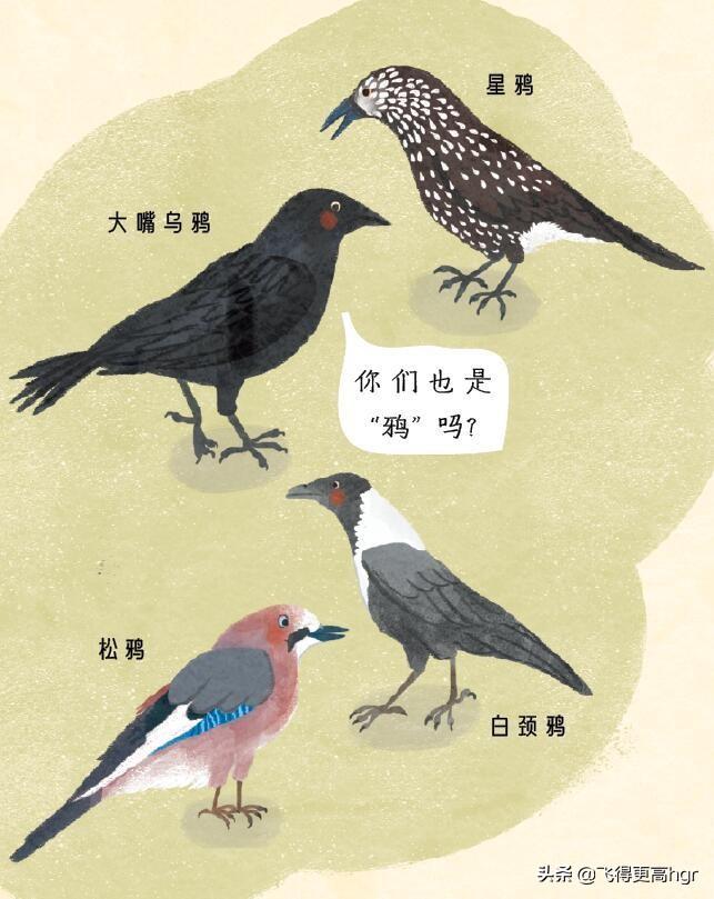 黑上加黑_黑加上多念什么_黑加上今读什么