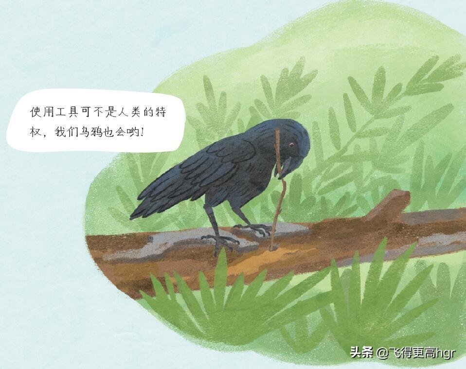 黑加上今读什么_黑上加黑_黑加上多念什么