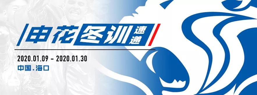头槌_槌头鲨鱼_槌头雷兽