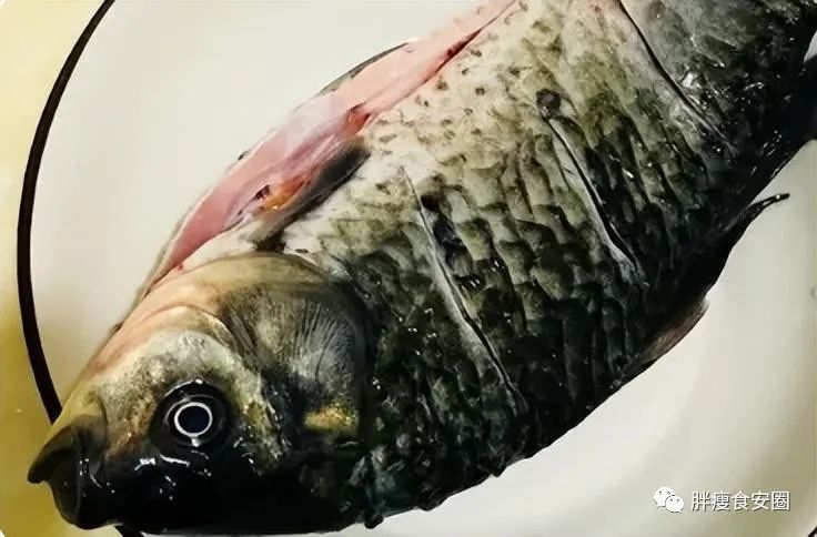 鱼水之情_鱼水之情_鱼水之情