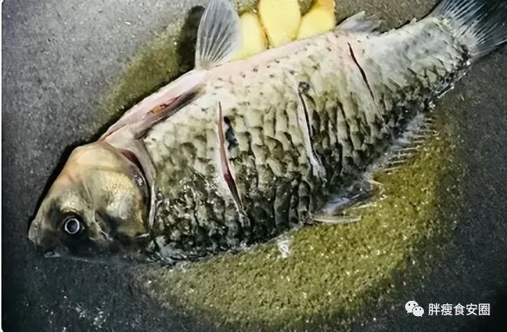 鱼水之情_鱼水之情_鱼水之情