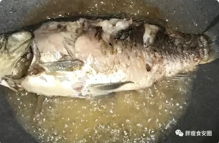 鱼水之情_鱼水之情_鱼水之情