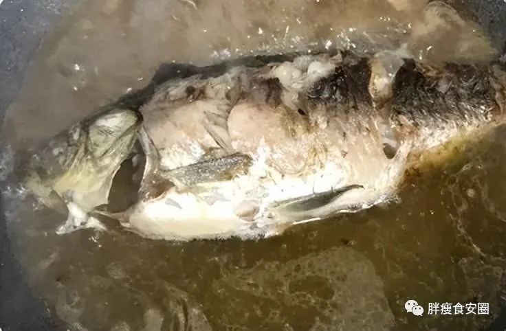 鱼水之情_鱼水之情_鱼水之情