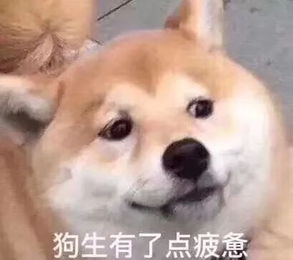 百乐capless_capless_capless紫色