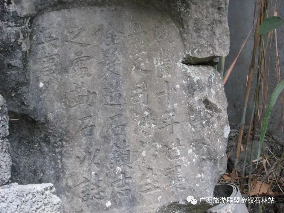 俊逸_俊逸汽车_俊逸的意思