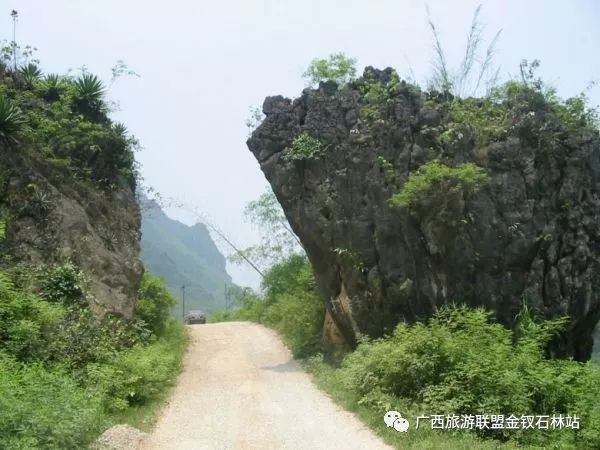 俊逸_俊逸汽车_俊逸的意思