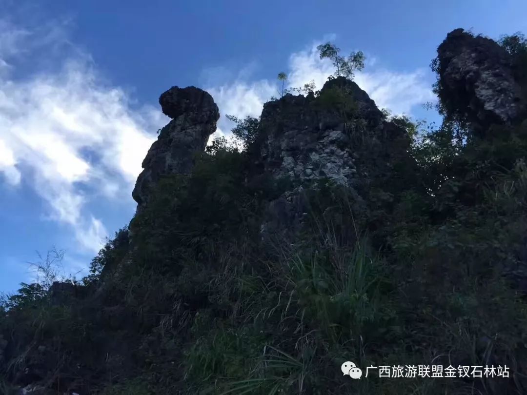 俊逸的意思_俊逸_俊逸汽车