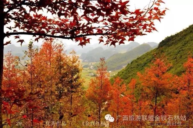 俊逸_俊逸的意思_俊逸汽车