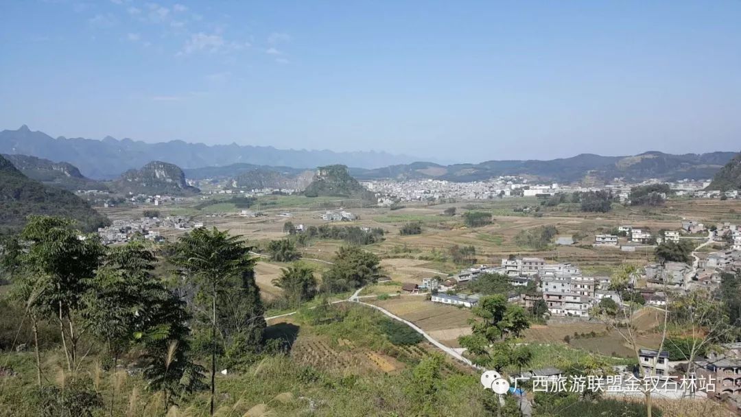 俊逸_俊逸汽车_俊逸的意思