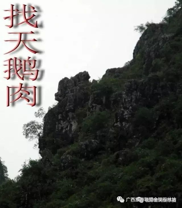 俊逸_俊逸的意思_俊逸汽车