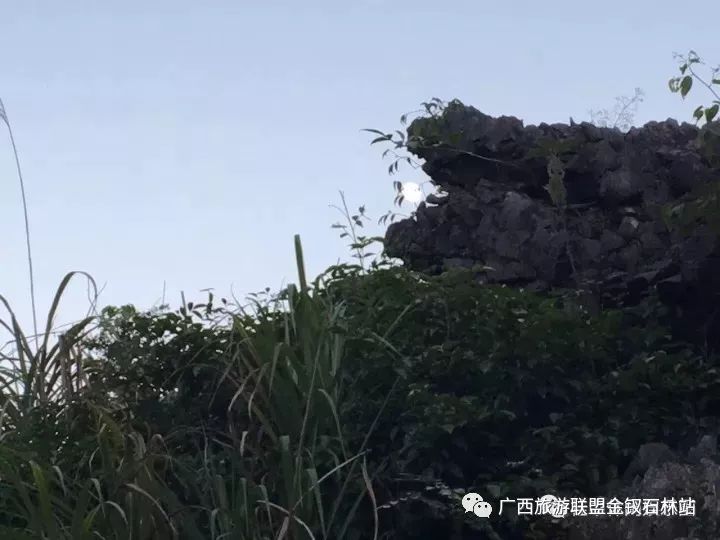 俊逸的意思_俊逸汽车_俊逸