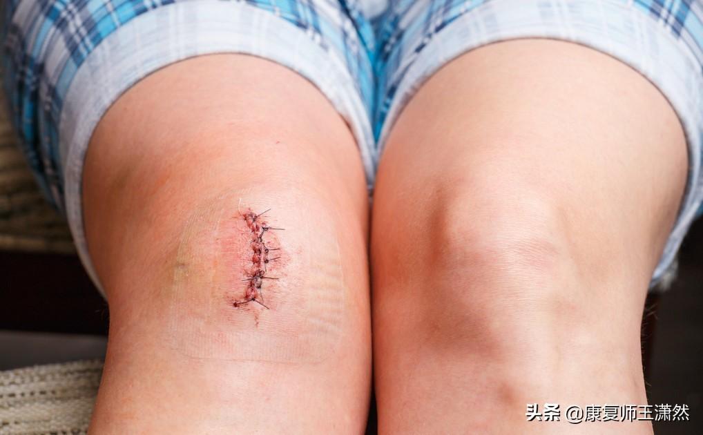 cadets翻译_cadets_忍者cadets