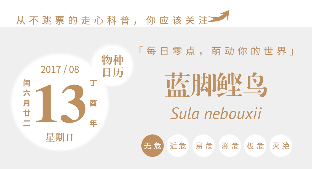 yandex入口引擎首页中文_yandex.ru_yandex入口引擎www