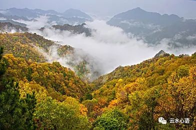朴素无华是成语吗_朴素无华_朴素无华是什么生肖