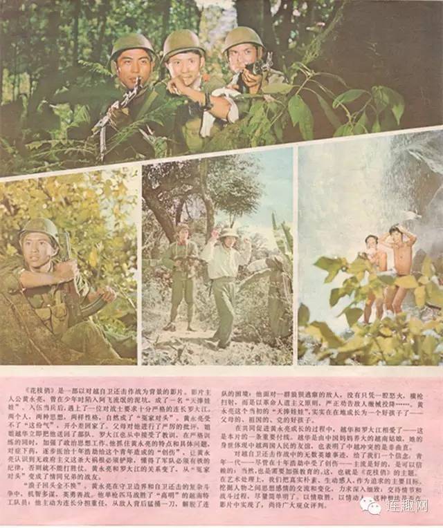 朴素无华_朴素无华下一句_朴素无华是成语吗
