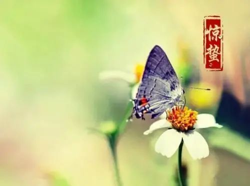 hibernating翻译_hibernating_hibernating