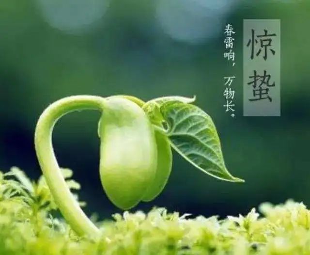 hibernating翻译_hibernating_hibernating