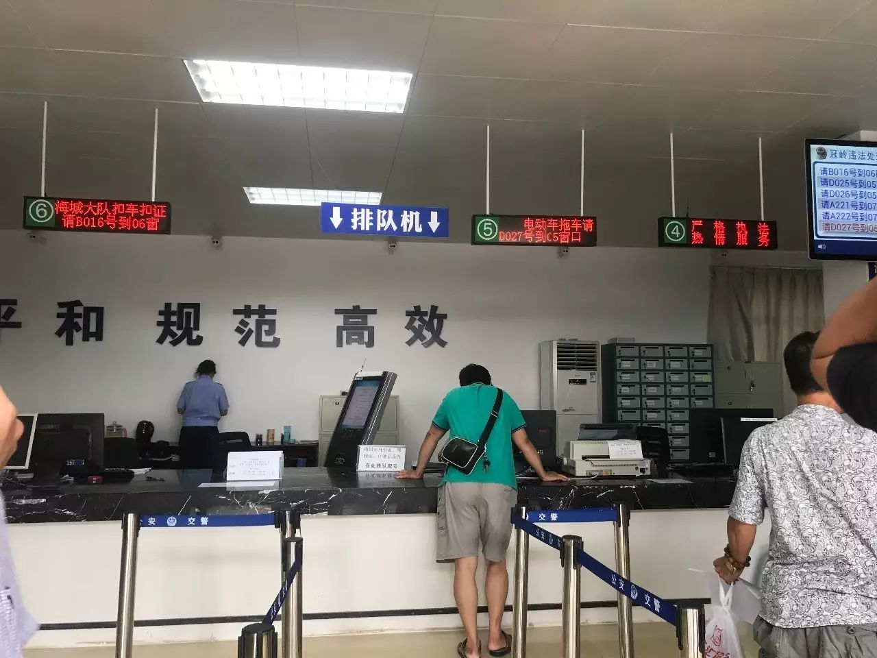 一波三折_一波三折_折耳根