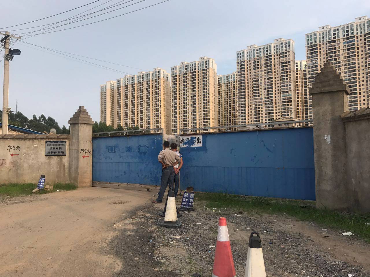 折耳根_一波三折_一波三折