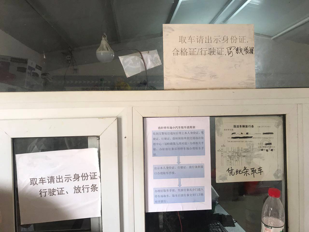 折耳根_一波三折_一波三折