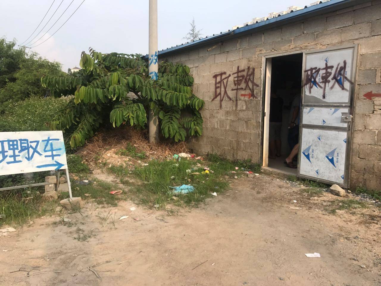 一波三折_折耳根_一波三折