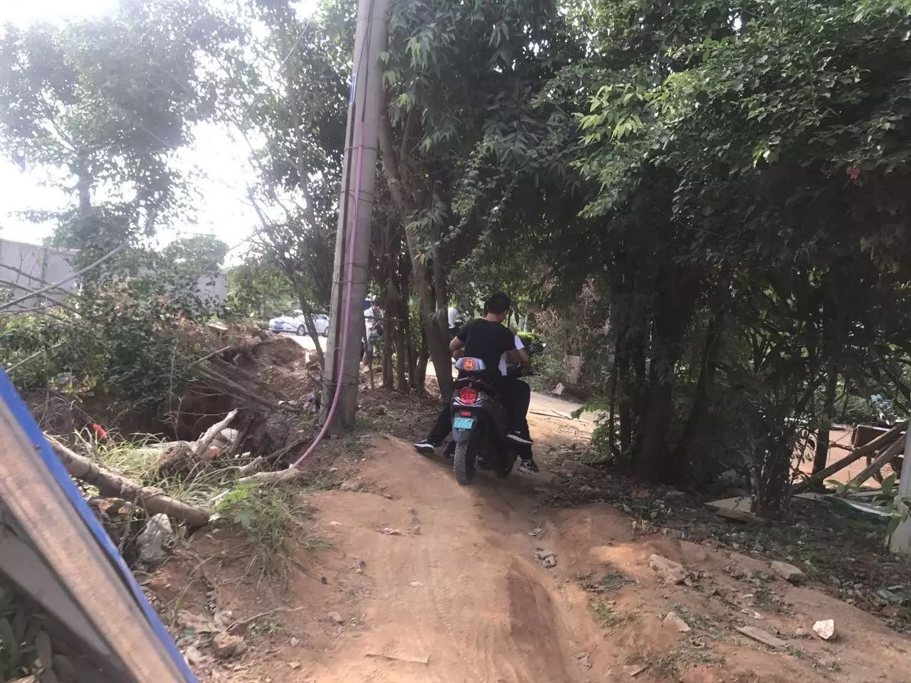 折耳根_一波三折_一波三折