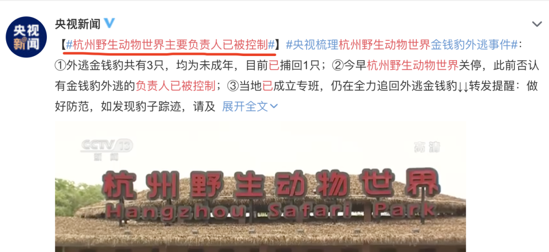 折腰_一波三折_折耳根和鱼腥草的区别