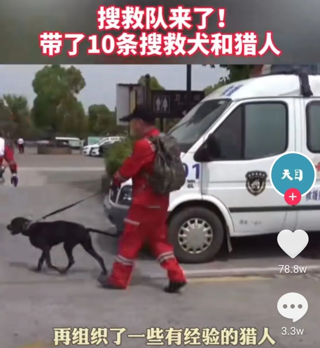 一波三折_折耳根和鱼腥草的区别_折腰