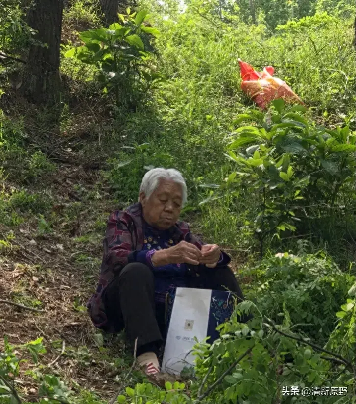 脑筋死是什么回事_脑筋死板的原因_死脑筋