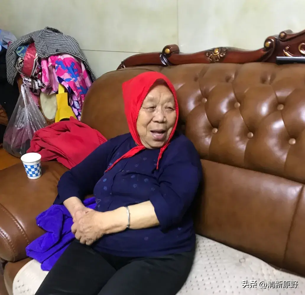 脑筋死是什么回事_死脑筋_脑筋死板的原因