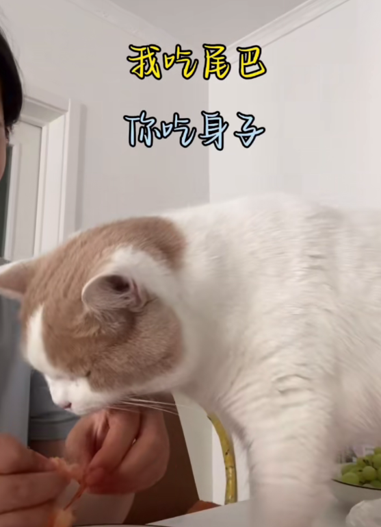 笑组词_笑_你的笑我的笑你真的很好歌词