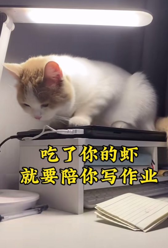 笑组词_你的笑我的笑你真的很好歌词_笑