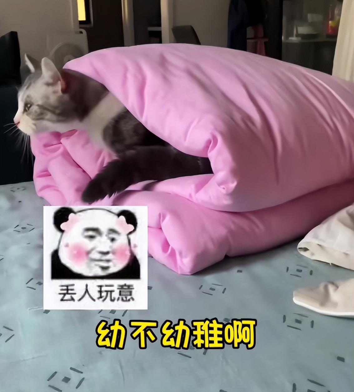 笑组词_你的笑我的笑你真的很好歌词_笑