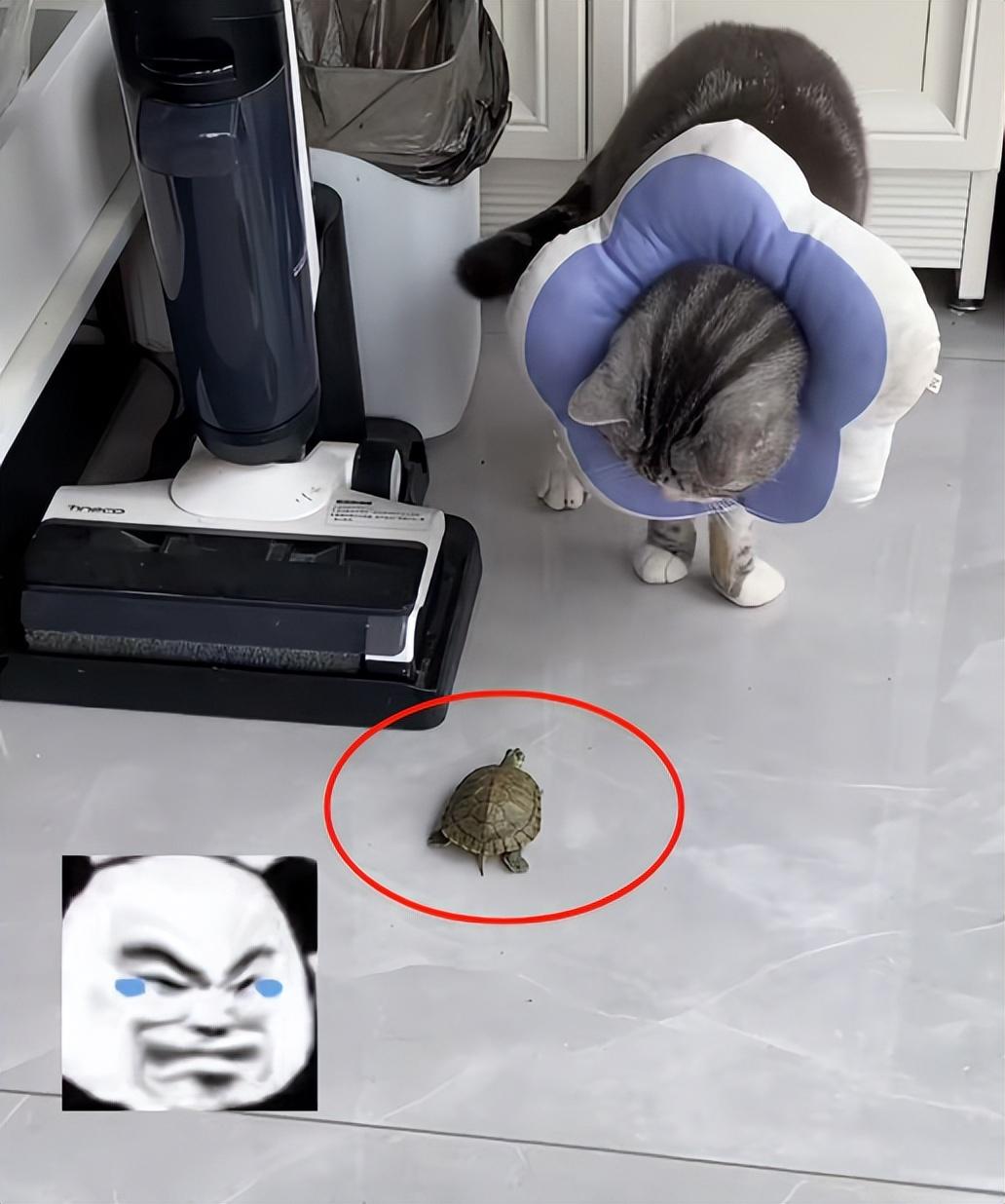 笑组词_你的笑我的笑你真的很好歌词_笑