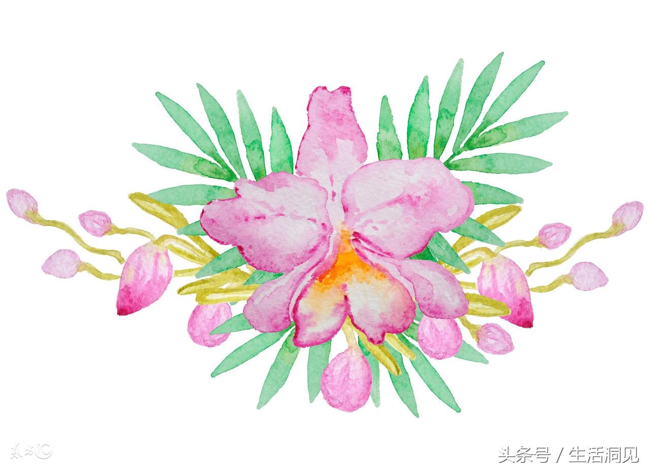 一笑了之_一笑江湖DJ_一笑倾城